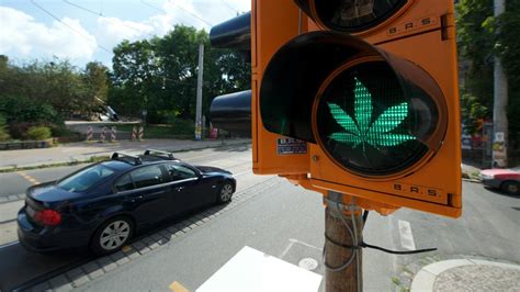 cannabis legalisierung autofahren